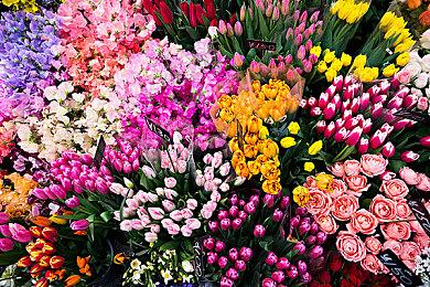 暴雪发布关于NFT的调查问卷：玩游戏赚加密货币